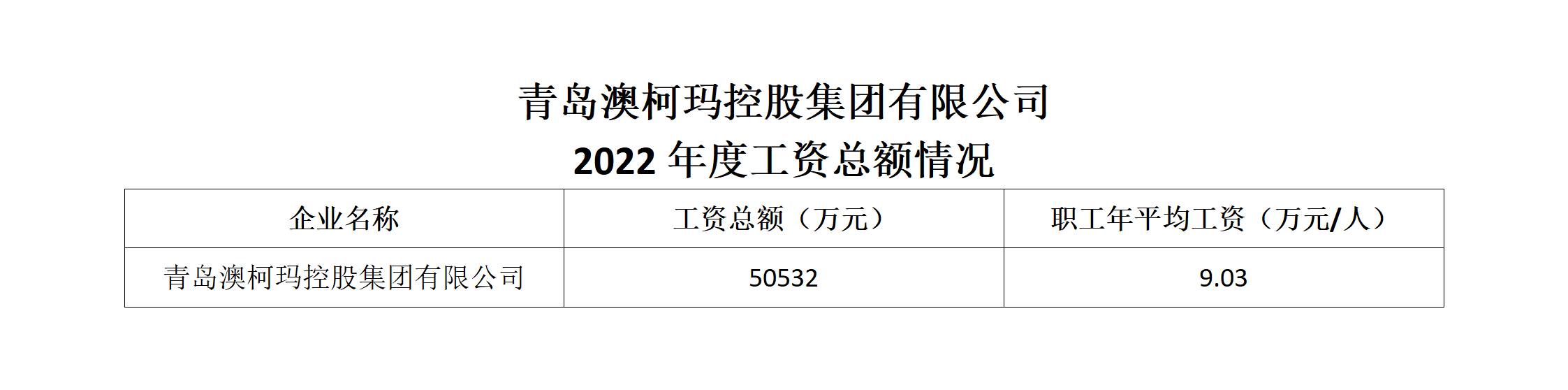 青岛澳柯玛控股集团有限公司2022年度工资总额情况.jpg